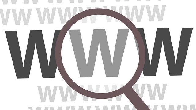 web hosting