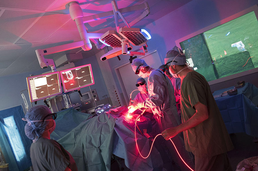 Photodynamic Therapy
